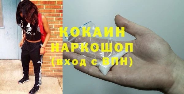 apvp Алексин