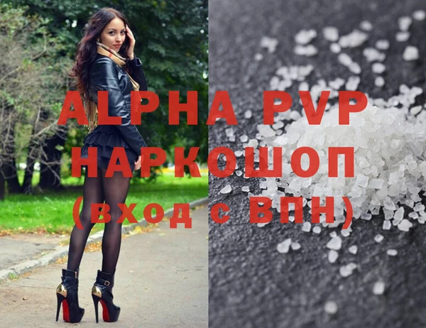 apvp Алексин